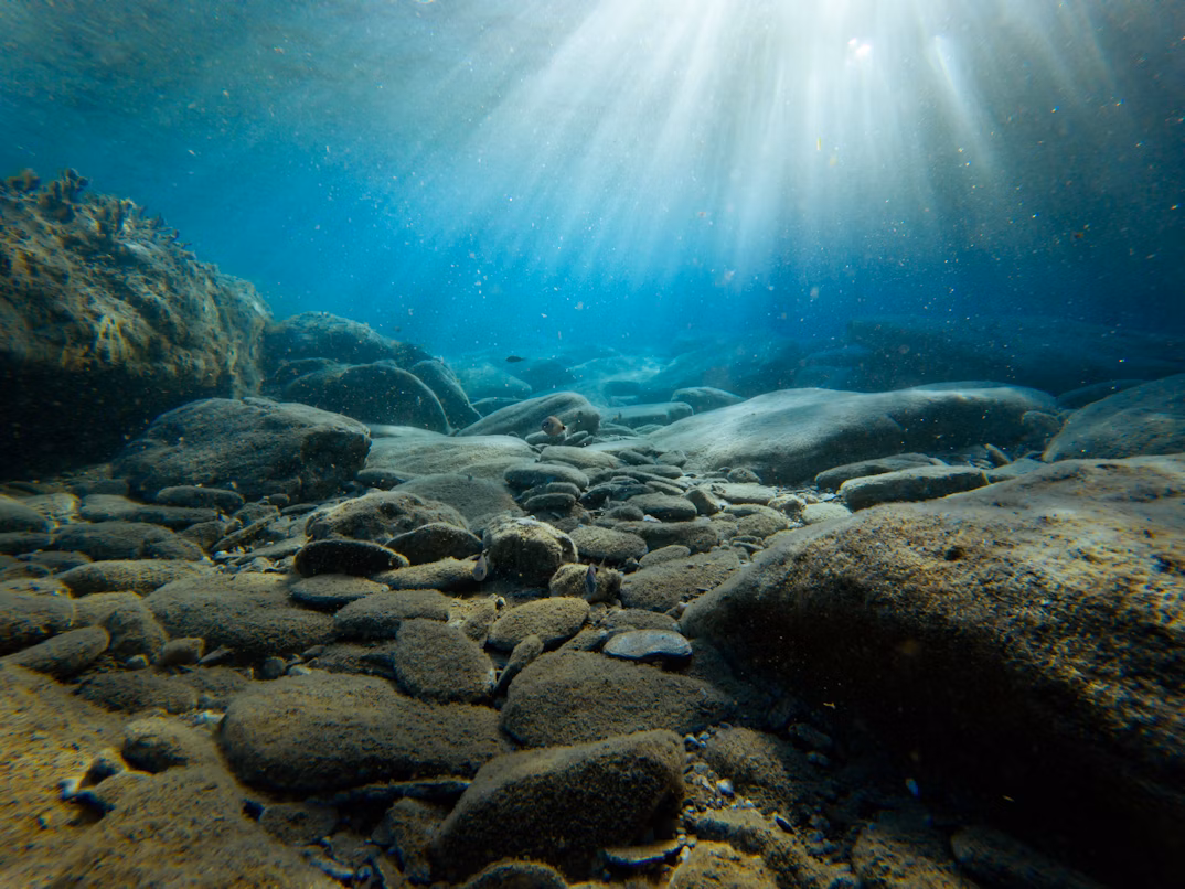 underwater-photo